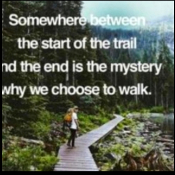 🧺 VINTAGE WICKER WILLOW GONDOLA BASKET Farmhouse Country Boho - Picture 14 of 16